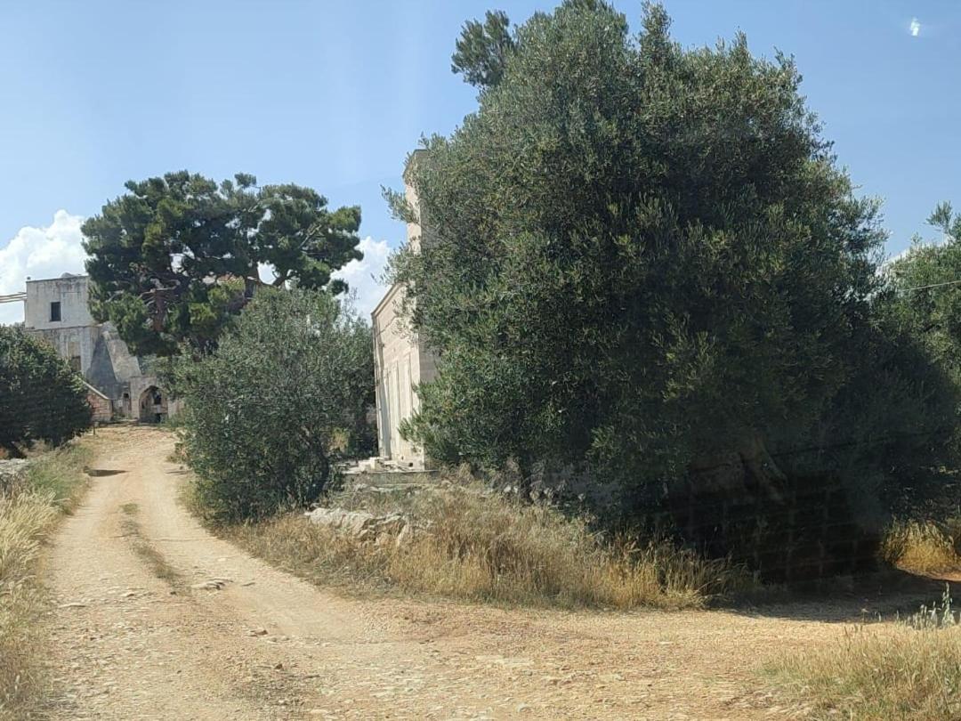 Bed and Breakfast La Guendalina Masseria E Casa Particular Monopoli Exterior foto